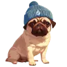 Pug Icon